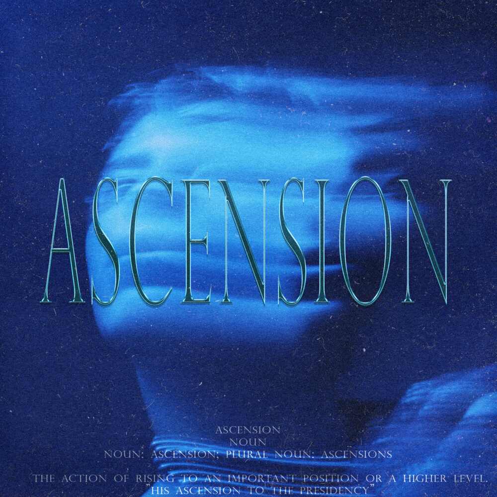 Ascension Trap Loop Kit – rly Beats